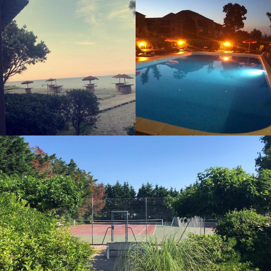 Joli T2 Les Pieds Dans L'Eau , Piscine Tennis.... San-Nicolao Dış mekan fotoğraf